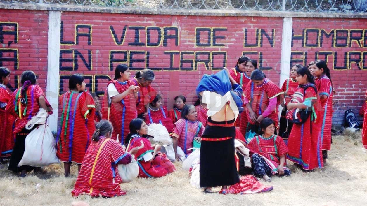 Seguimiento a lenguas maternas de Chiapas