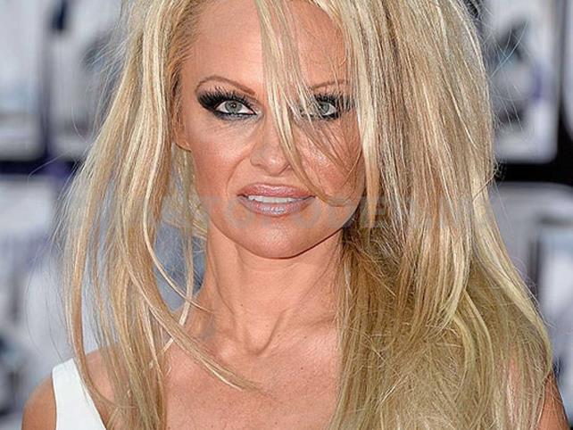 Pamela Anderson Se Desnuda Para Campa A Social