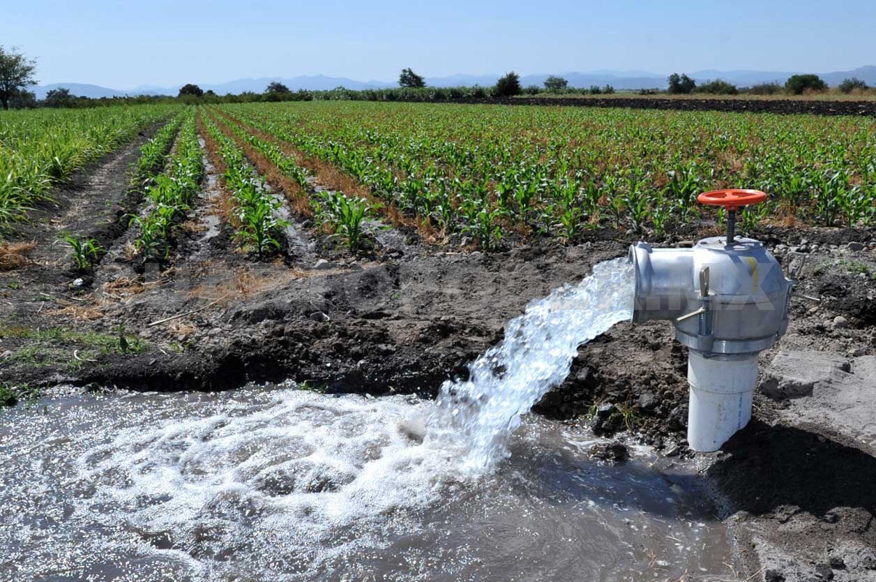 Resultado de imagen para soya manejo de agua