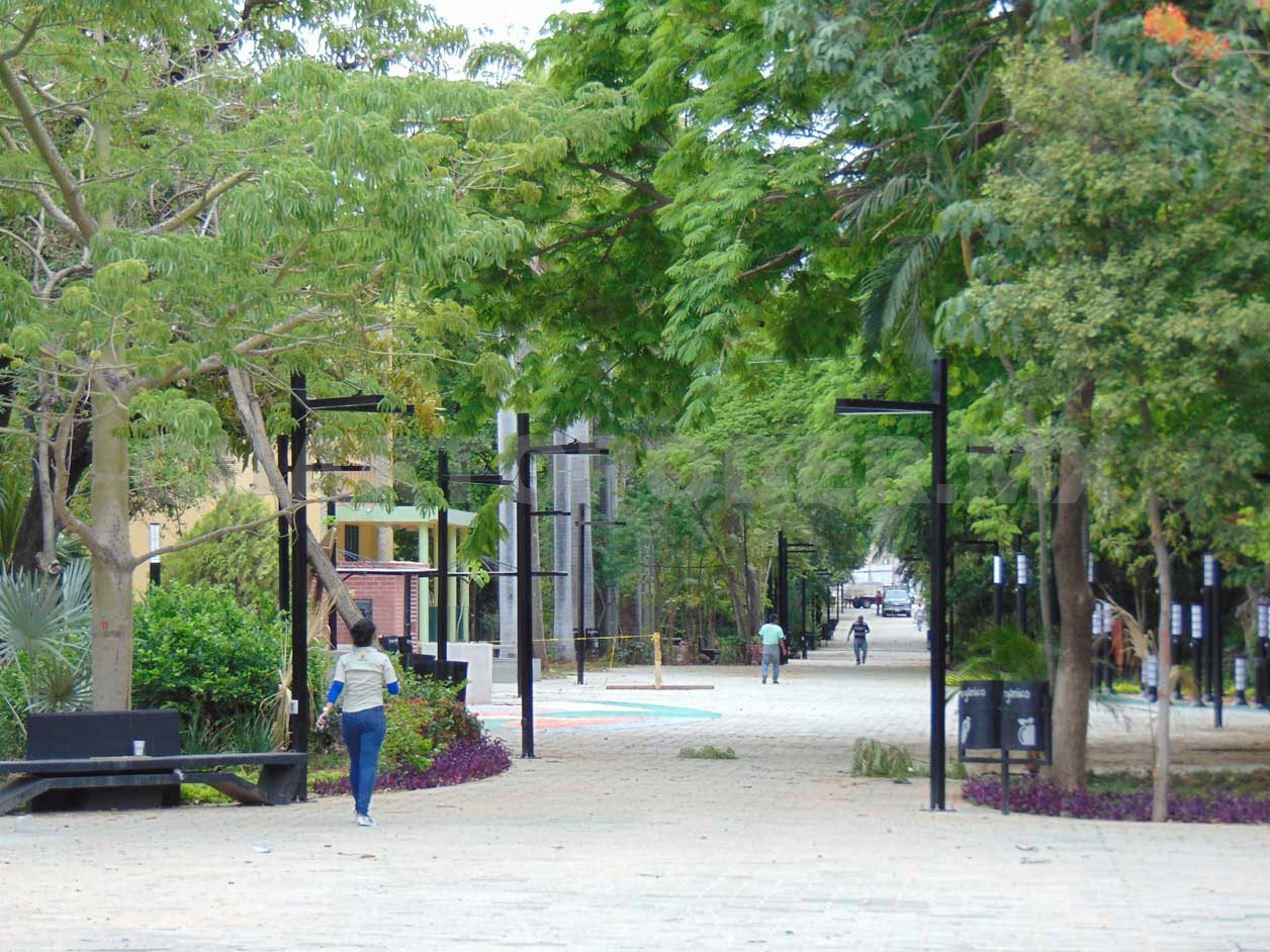 visitantes caminando por calzada Revolución