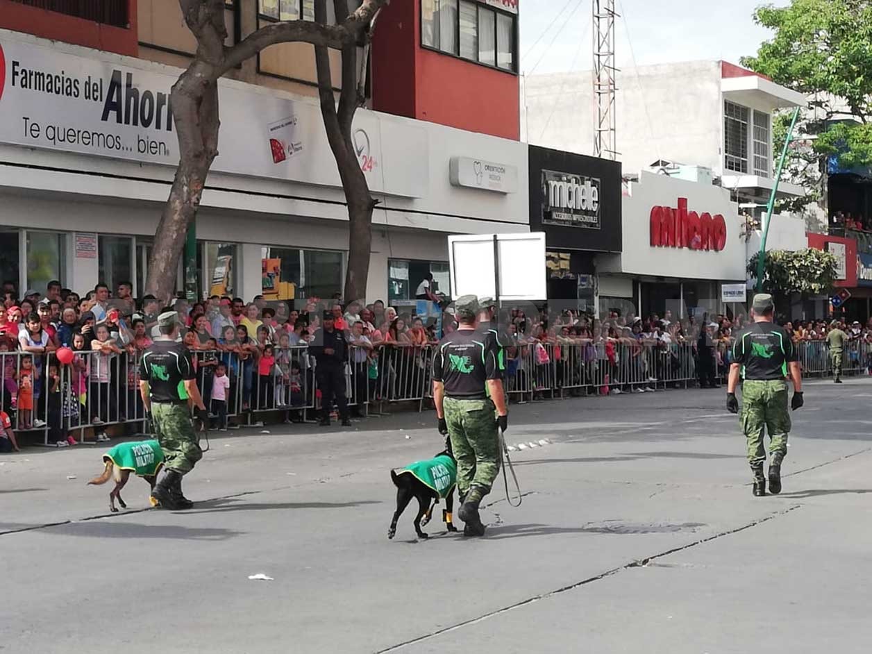 Binomios canófilos héroes anónimos