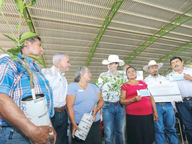 Seguro Agrícola reactiva cultivos en Chiapas: MVC