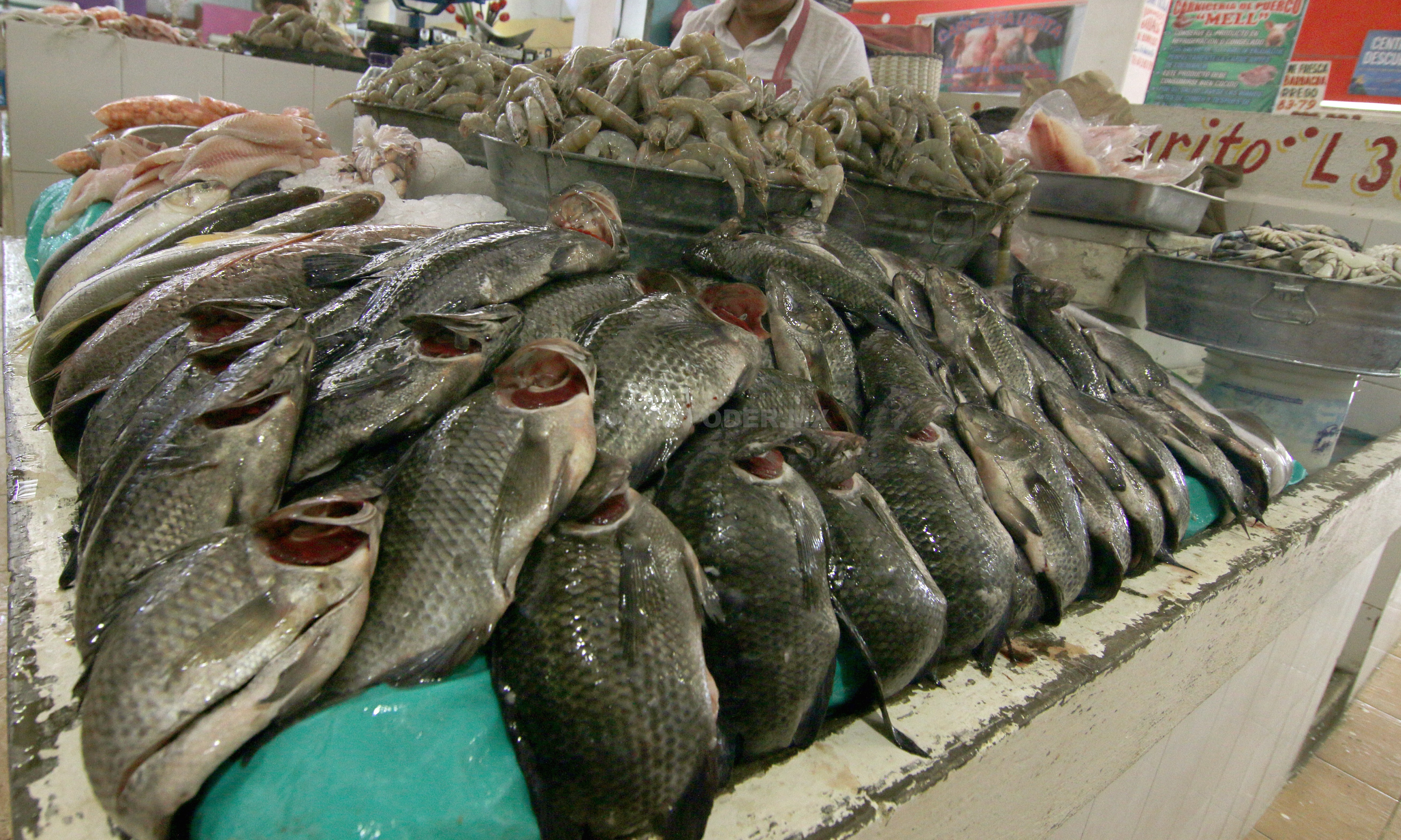A la baja consumo de pescados y mariscos: Mercado del Norte