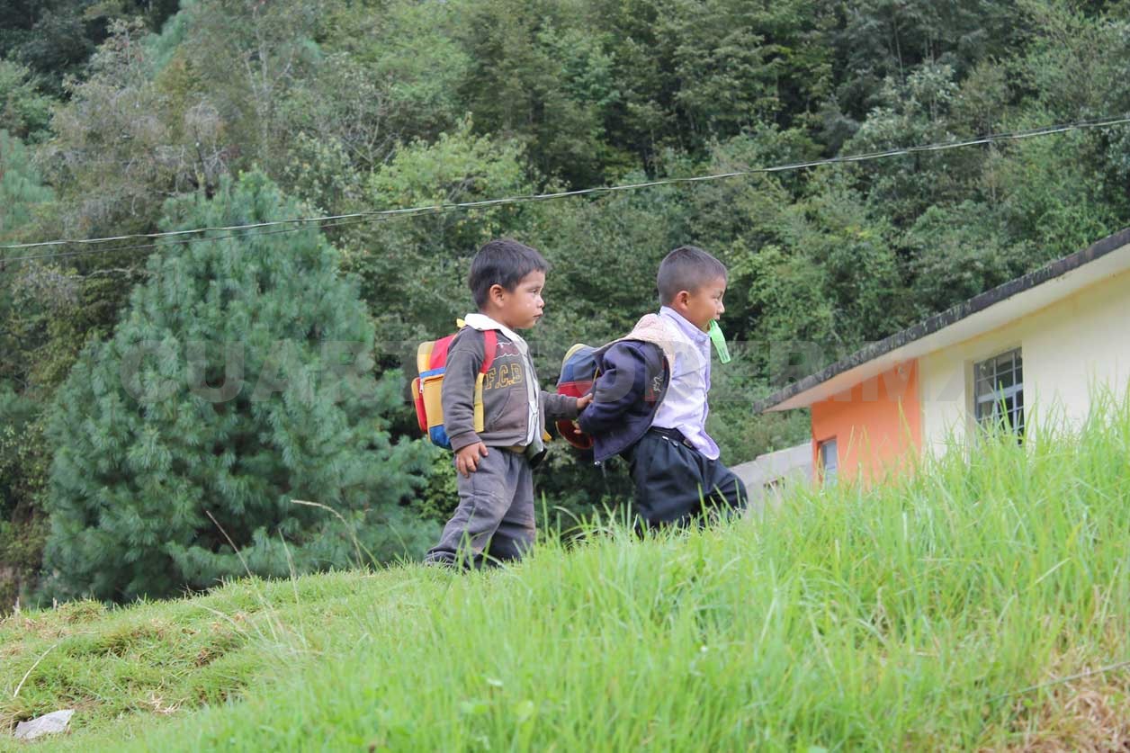 Organismos unidos por los niños de México