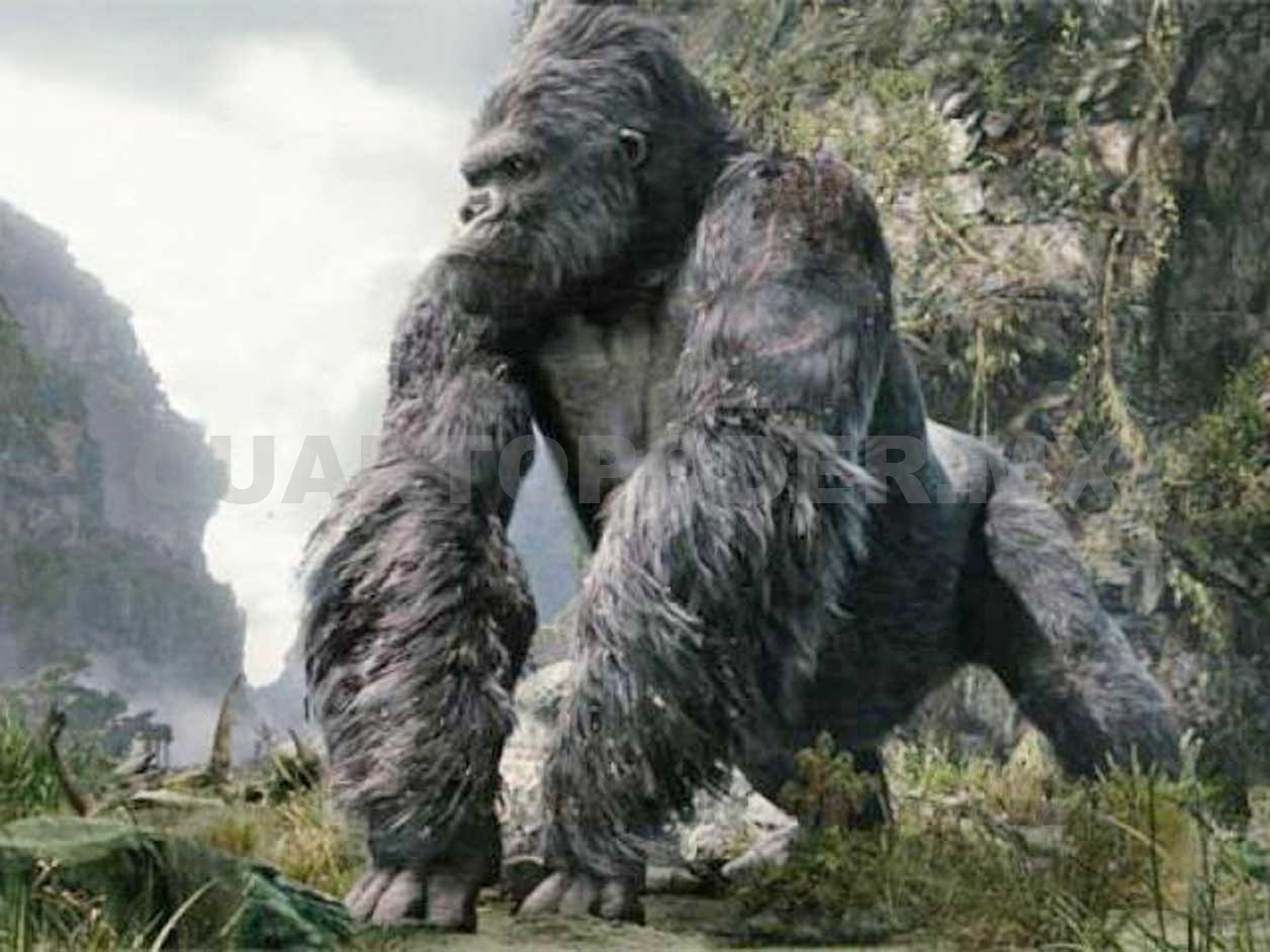 Dan detalles del aspecto de King Kong