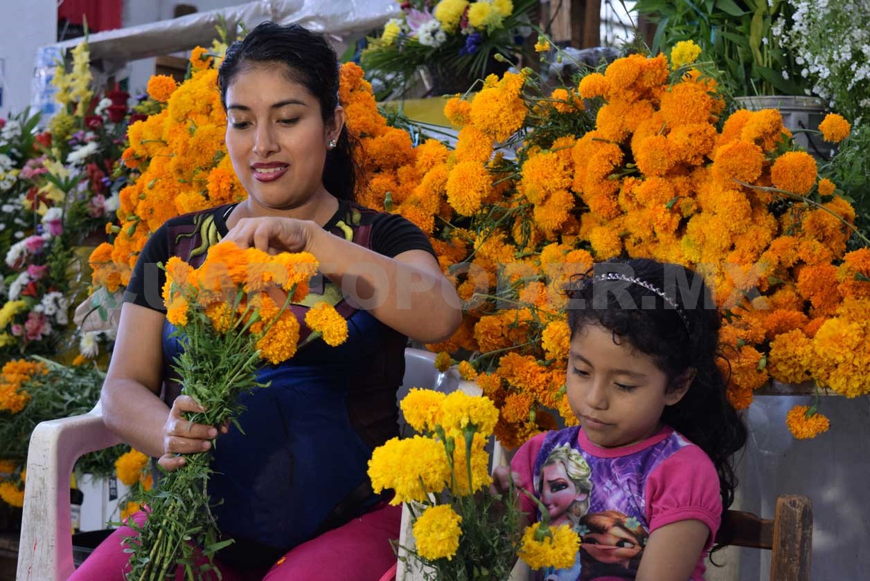 Flor de cempasúchil, color y tradición en altares