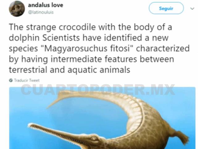 Paleontólogos descubren cocodrilo con aletas
