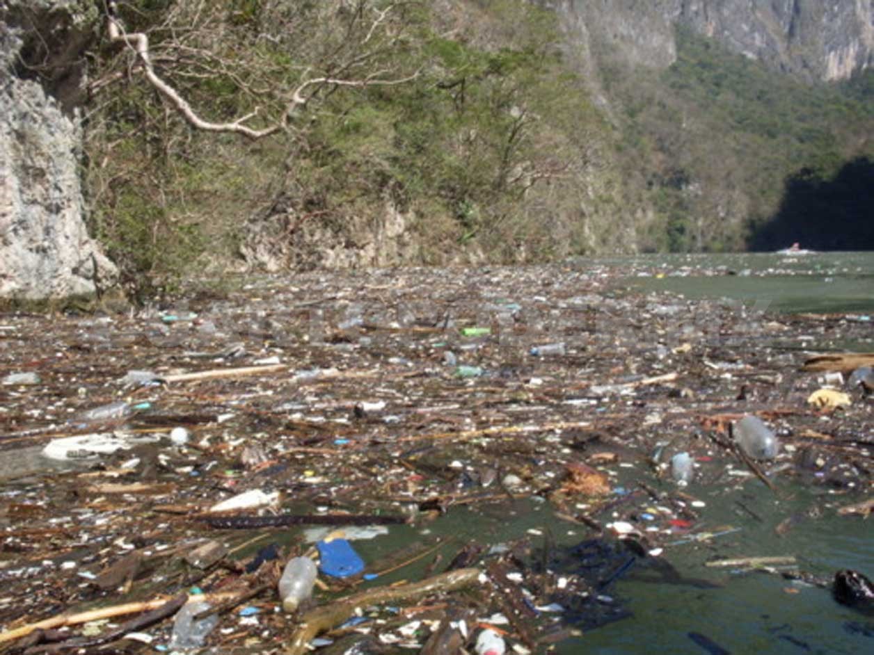 La Contaminacion Del Agua En Chiapas www.cuartopoder.mx
