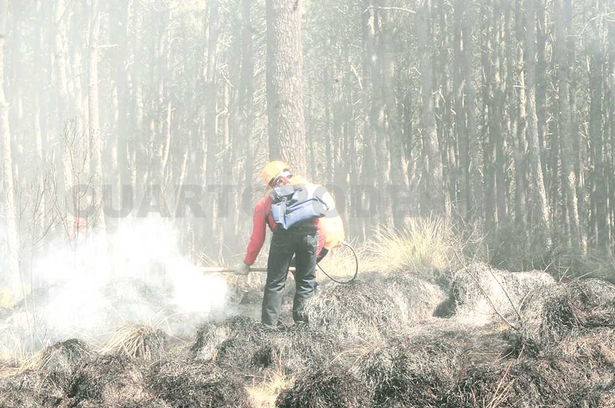 Más De Cuatro Mil Elementos Combaten 87 Incendios