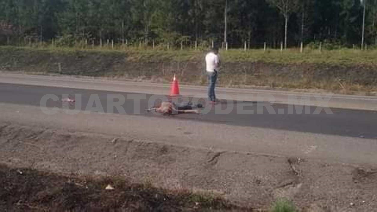 Mueren dos hermanos en trágico percance