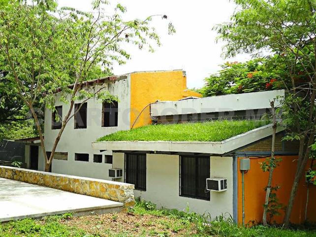 Jardines verticales y techos verdes contrarrestan calor