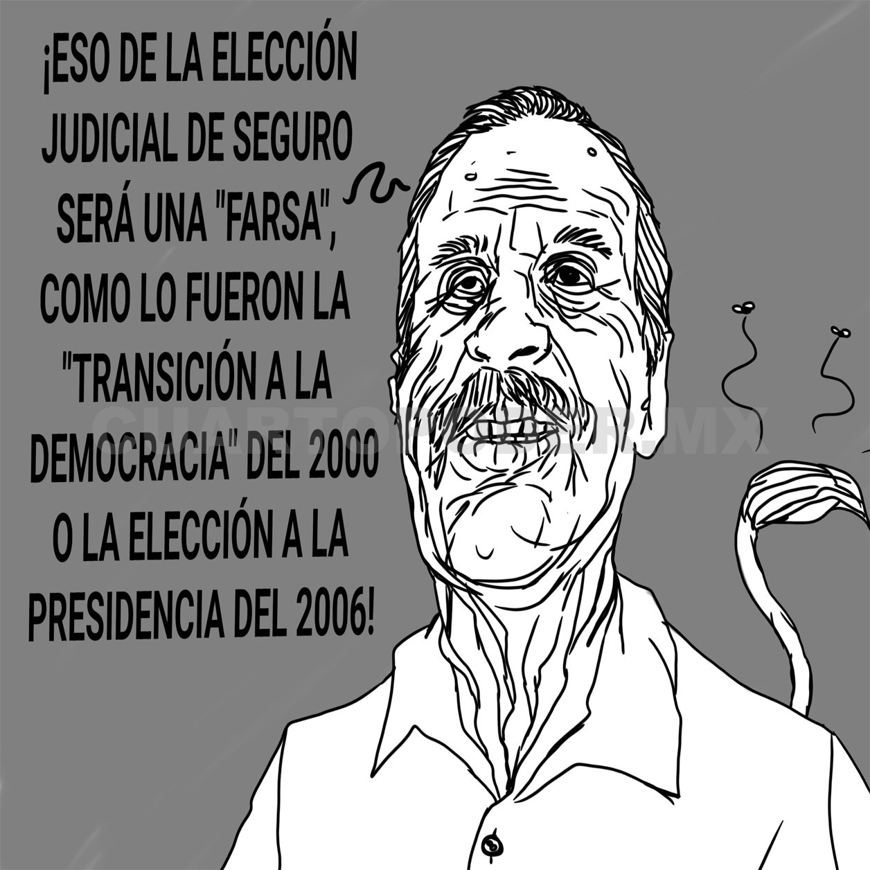 En su casa los conocen ¿votarás?