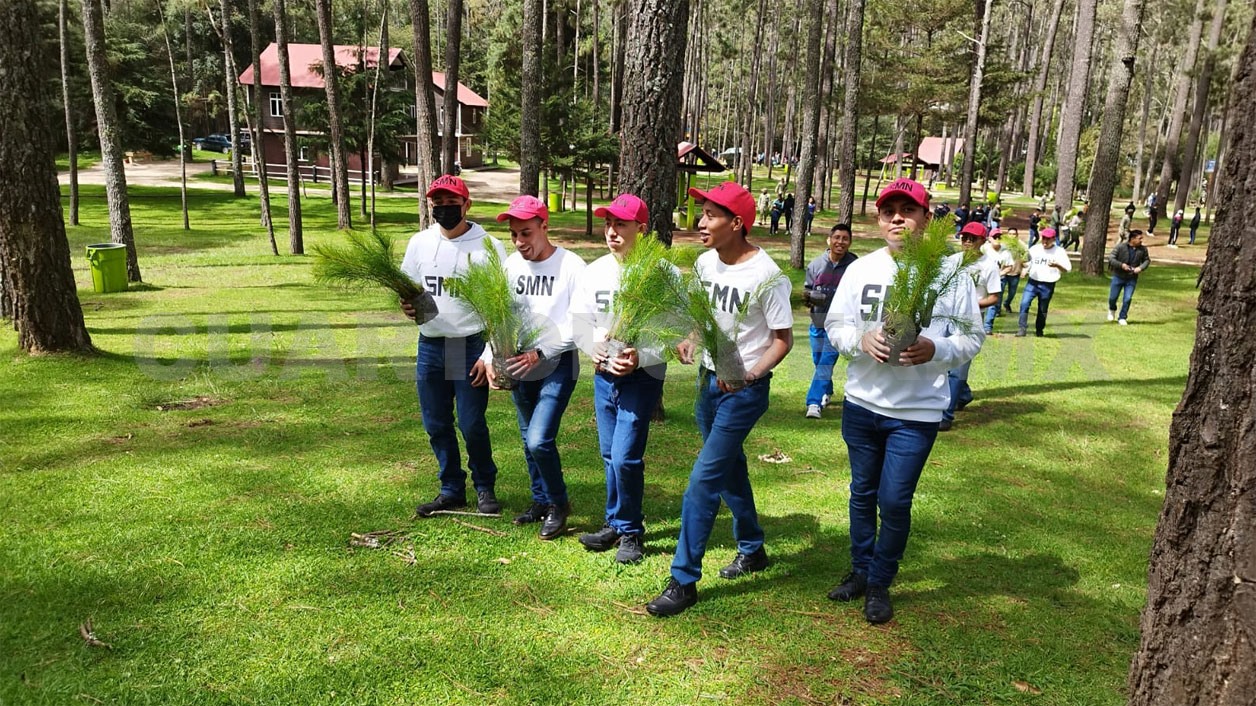 Reforestan las Grutas de Rancho Nuevo en SCLC
