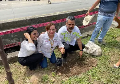 Trabajan para reforestar, sembrar vida y futuro