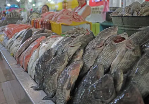Lluvias generan escasez de pescado en la capital