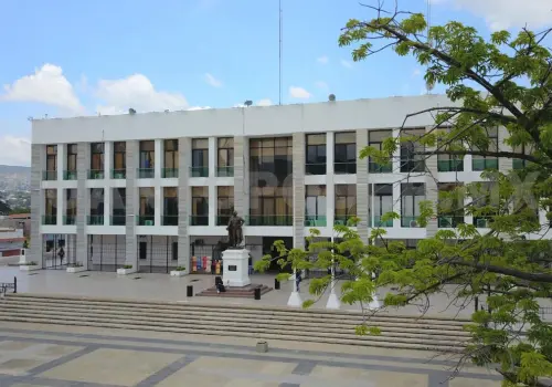 Sobrelegislación habría afectado ayuntamientos