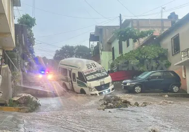 Caen seis árboles por las intensas lluvias