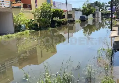 Viven entre el agua estancada
