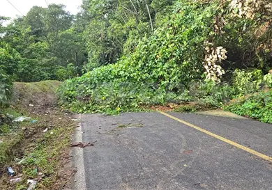 Aprueban Ley para la Gestión Integral de Riesgos