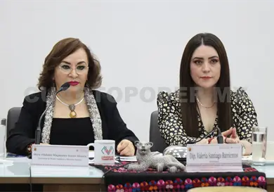 Reducción de incendios, un resultado histórico