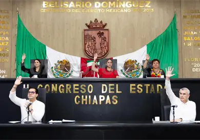 Hasta 15 años de prisión por delito de “halconeo”