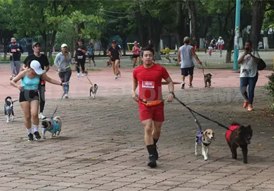 Todo listo para Movimiento Perrón 2026