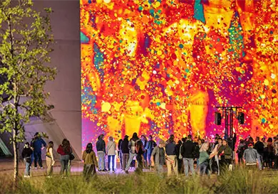 Presentarán exposición nocturna Presentarán exposición nocturna