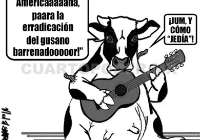 Sigue cerrada la frontera por el gusano barrenador Sigue cerrada la frontera por el gusano barrenador