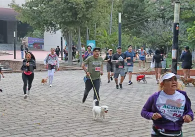 Movimiento Perrón 2026 vive su 2ª edición