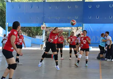 Panteras regresa con triunfo a la actividad