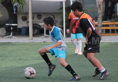 Invita Lechuzas a niños y jóvenes a formarse Invita Lechuzas a niños y jóvenes a formarse