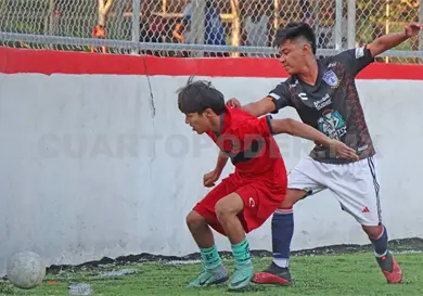 Hull City FC tuvo más garra que Leones Negros Hull City FC tuvo más garra que Leones Negros