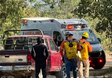 Abejas atacan a familia y fallece un adulto mayor por picaduras Abejas atacan a familia y fallece un adulto mayor por picaduras