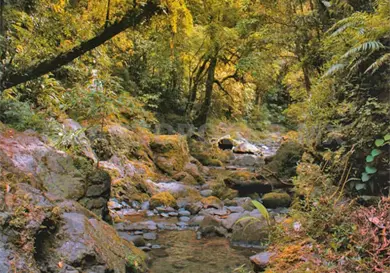 Relación de SCLC con el agua es complicada Relación de SCLC con el agua es complicada