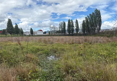 Cambio de uso de suelo arriesga los humedales Cambio de uso de suelo arriesga los humedales