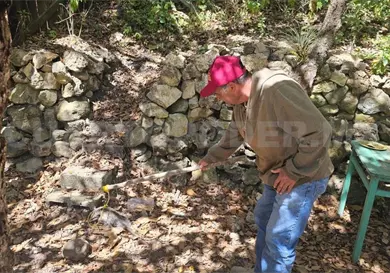 Rescatan a tlacuache víctima de maltrato Rescatan a tlacuache víctima de maltrato