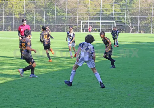 Buscan sumar victorias en nueva jornada Buscan sumar victorias en nueva jornada