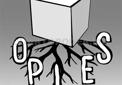 Fortalecer los sistemas electorales del país Fortalecer los sistemas electorales del país