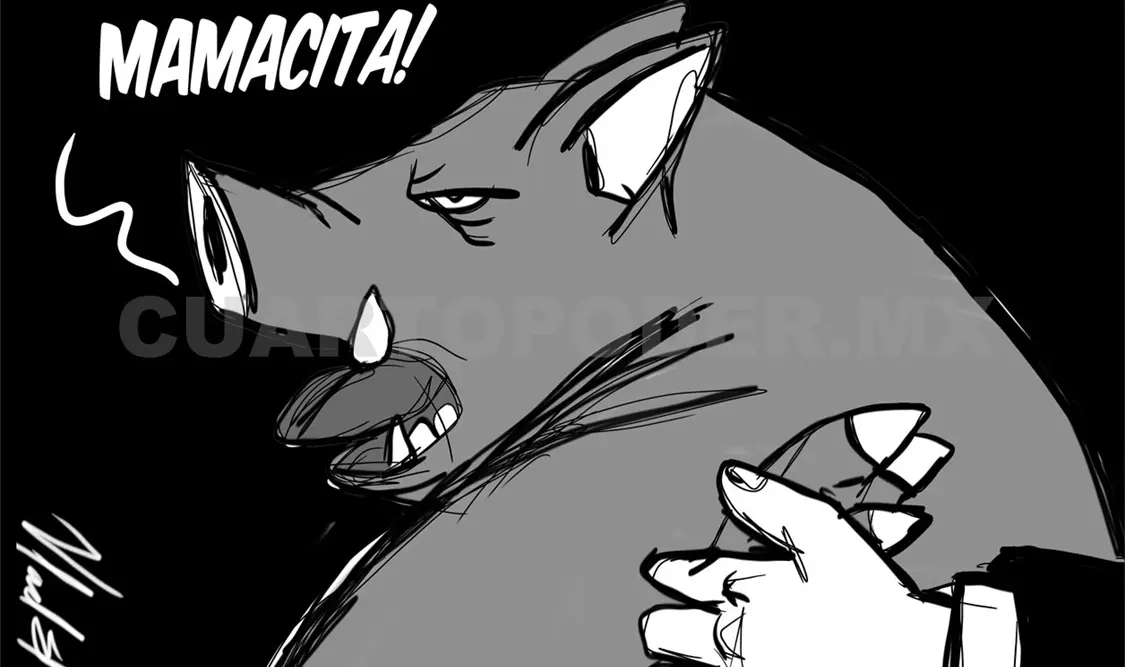 Acciones en favor de las mujeres