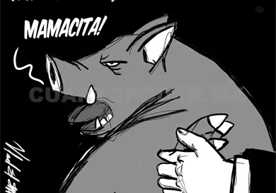 Acciones en favor de las mujeres Acciones en favor de las mujeres