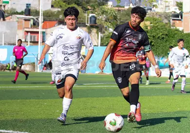 Lechuzas, a un paso de marca histórica Lechuzas, a un paso de marca histórica