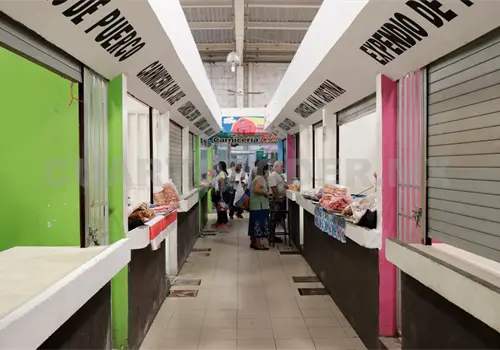 Crece 2.56 % la actividad económica en la entidad Crece 2.56 % la actividad económica en la entidad