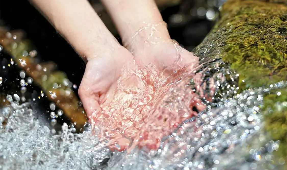 El periodo de registro se cerrará el 11 de marzo. Cortesía