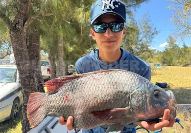 Realizan torneo de mojarra 2026 Realizan torneo de mojarra 2026