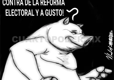 ¿Qué hacer con los plurinominales?