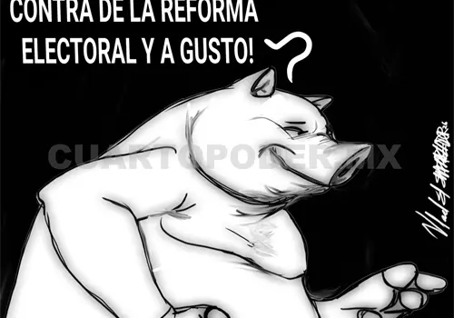 ¿Qué hacer con los plurinominales? ¿Qué hacer con los plurinominales?