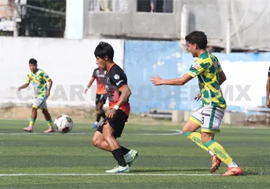 Lechuzas buscan acercarse a la cima nacional Lechuzas buscan acercarse a la cima nacional