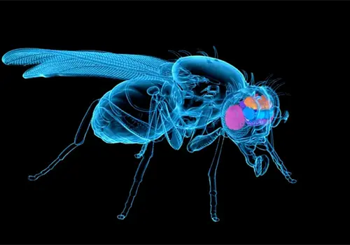 Un experimento revolucionario Un experimento revolucionario