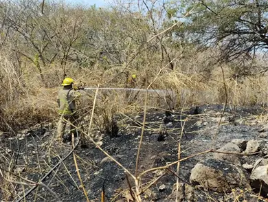 Controlan incendio de pastizal en la autopista Controlan incendio de pastizal en la autopista