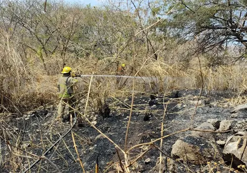 Controlan incendio de pastizal en la autopista